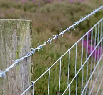The Unsung Guardian: Revisiting the Vital Role of Barbed Wire in Modern Security and Agriculture