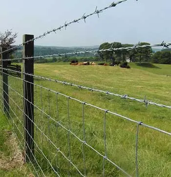 Cattle Fence