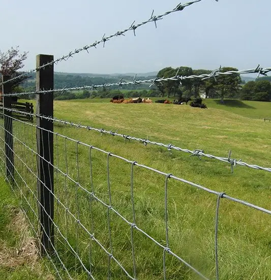 Cattle Fence